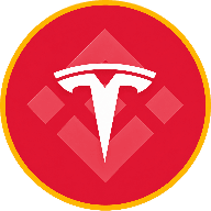 Tesla (bStocks)