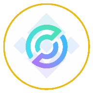 Circle Internet Group (bStocks)