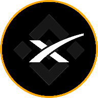 SpaceX (bStocks)
