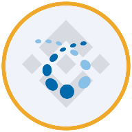 Credo Technology (bStocks)